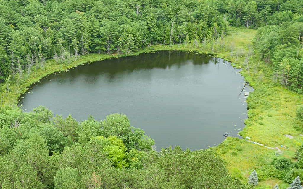 3138 Muskoka Road 118 - aerial view of private pond