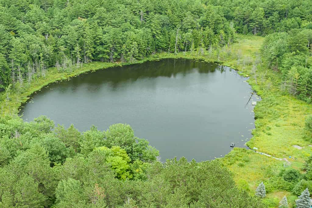 3138 Muskoka Road 118 - aerial view of private pond
