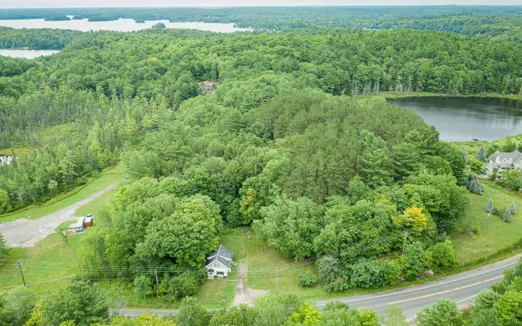 3138 Muskoka Road 118 - aerial view of the property surrounded by trees