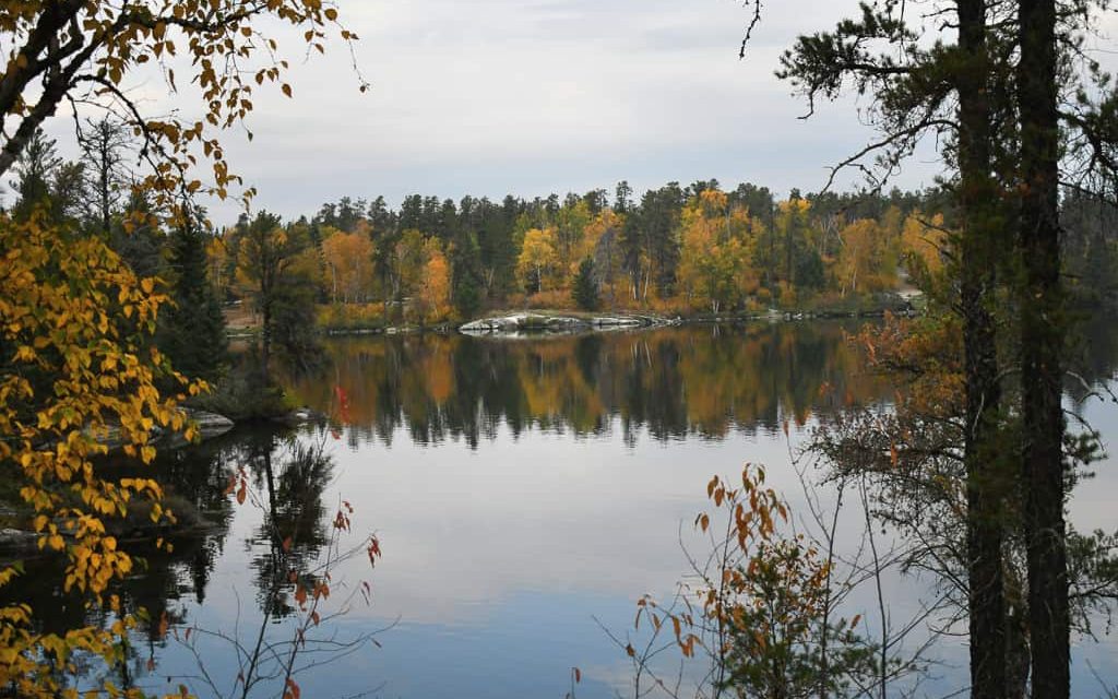 Bass Lake shoreline