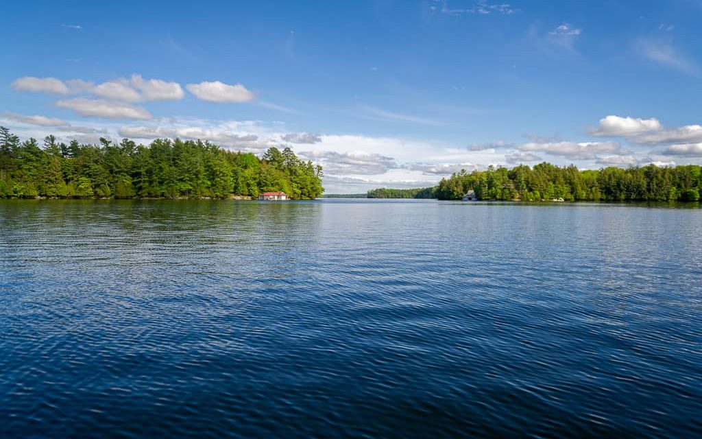 Summer on Brandy Lake.