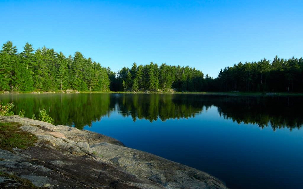 Overlooking Lake of Bays with reflection of trees.