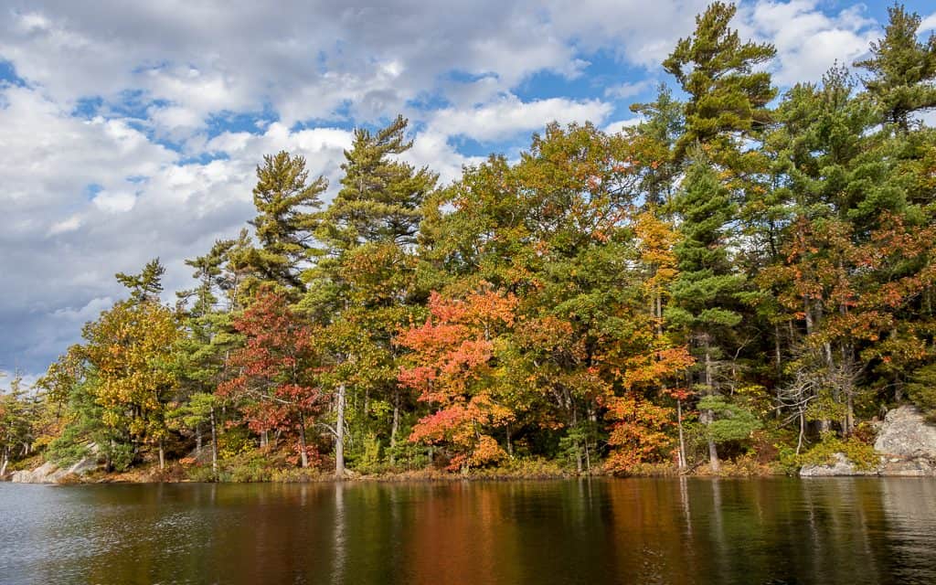 Colourful fall leaves on Sand Lake in Muskoka.