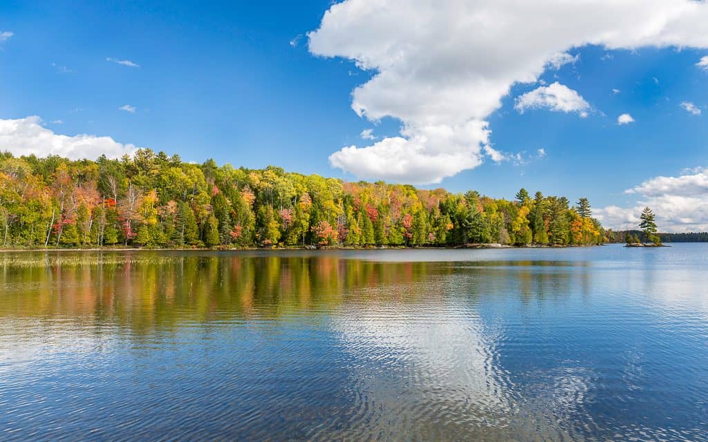 Vibrant Fall Colours Reflecting off Skeleton Lake in Autumn.