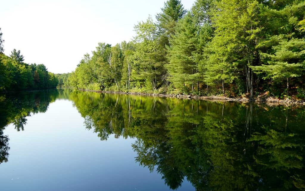 Tranquil Three Mile Lake Muskoka Lakes.