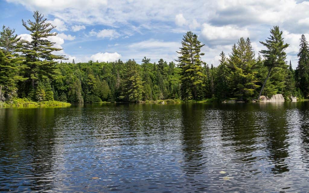 Nice sunny day on Walker Lake in Bracebridge.