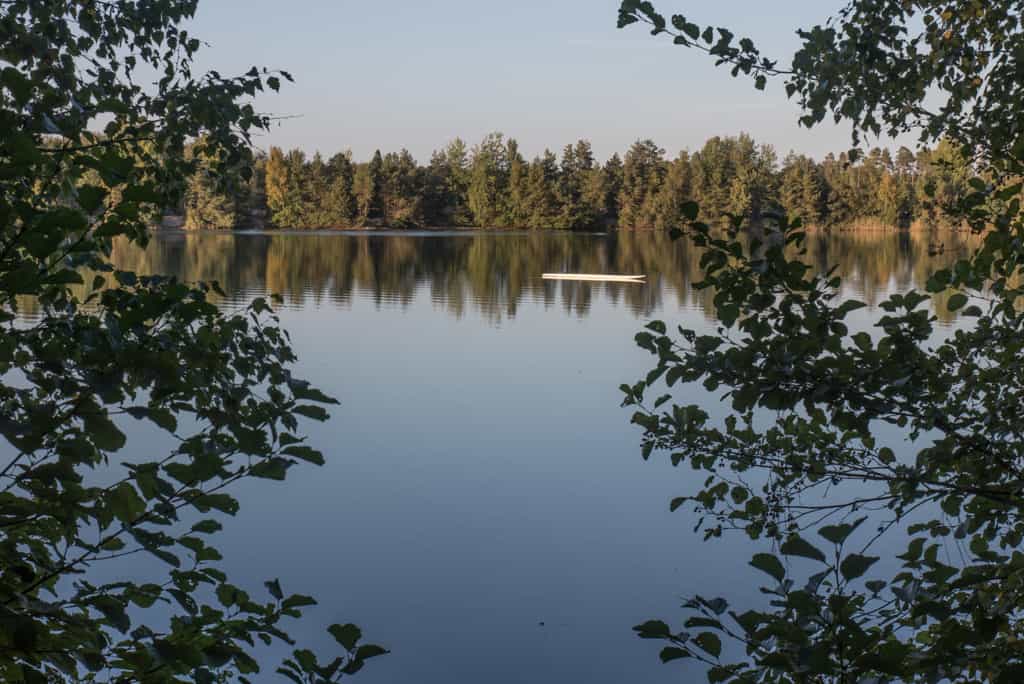 Dickie Lake